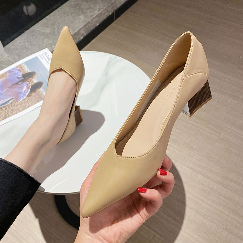 Women's French Style Summer Chunky Low-cut Pointed Toe Mid Women's Shoes