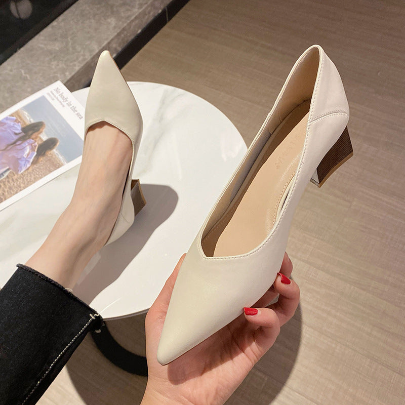 Women's French Style Summer Chunky Low-cut Pointed Toe Mid Women's Shoes